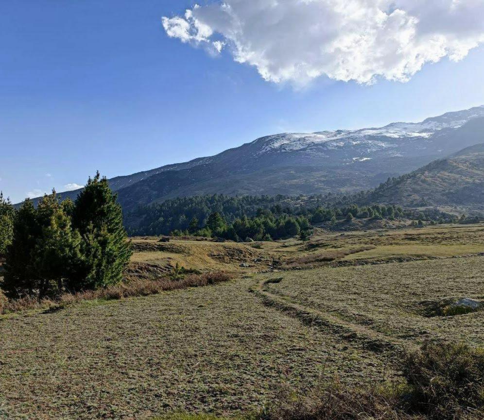 Fayul Retreat - India Highest Glamp And Ecoluxury Stay Kalpa Eksteriør billede