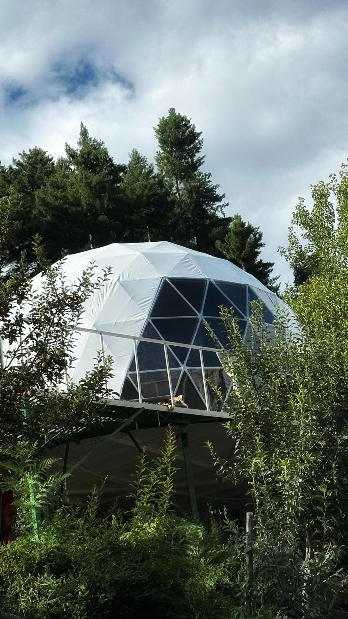 Fayul Retreat - India Highest Glamp And Ecoluxury Stay Kalpa Eksteriør billede