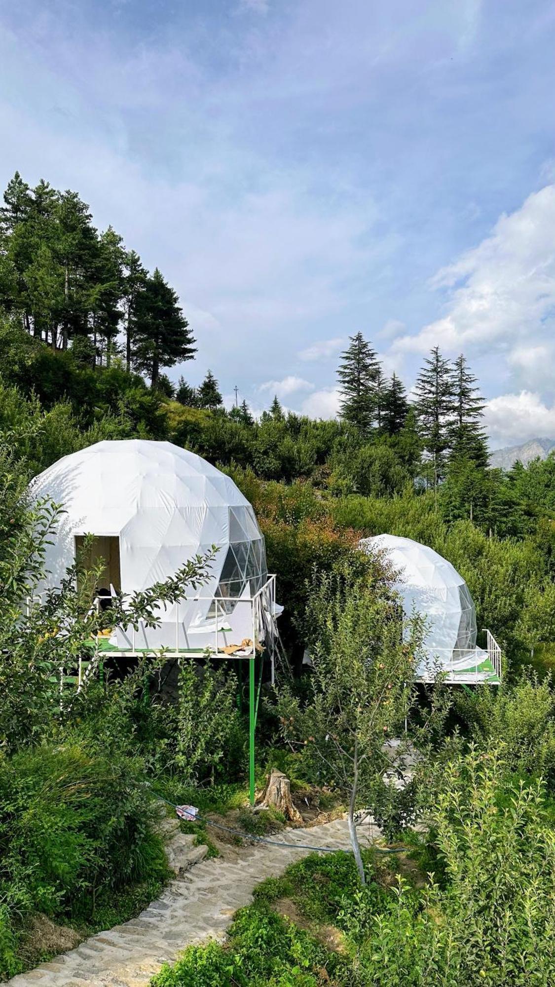 Fayul Retreat - India Highest Glamp And Ecoluxury Stay Kalpa Eksteriør billede